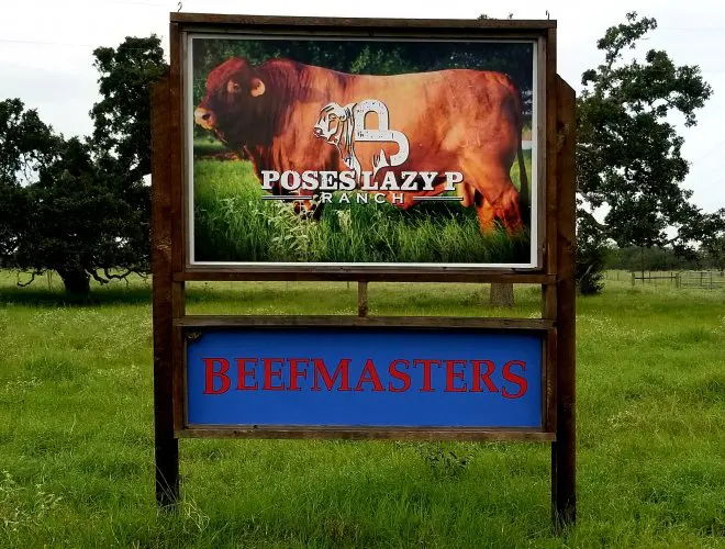 A sign that is in the grass with cows on it.